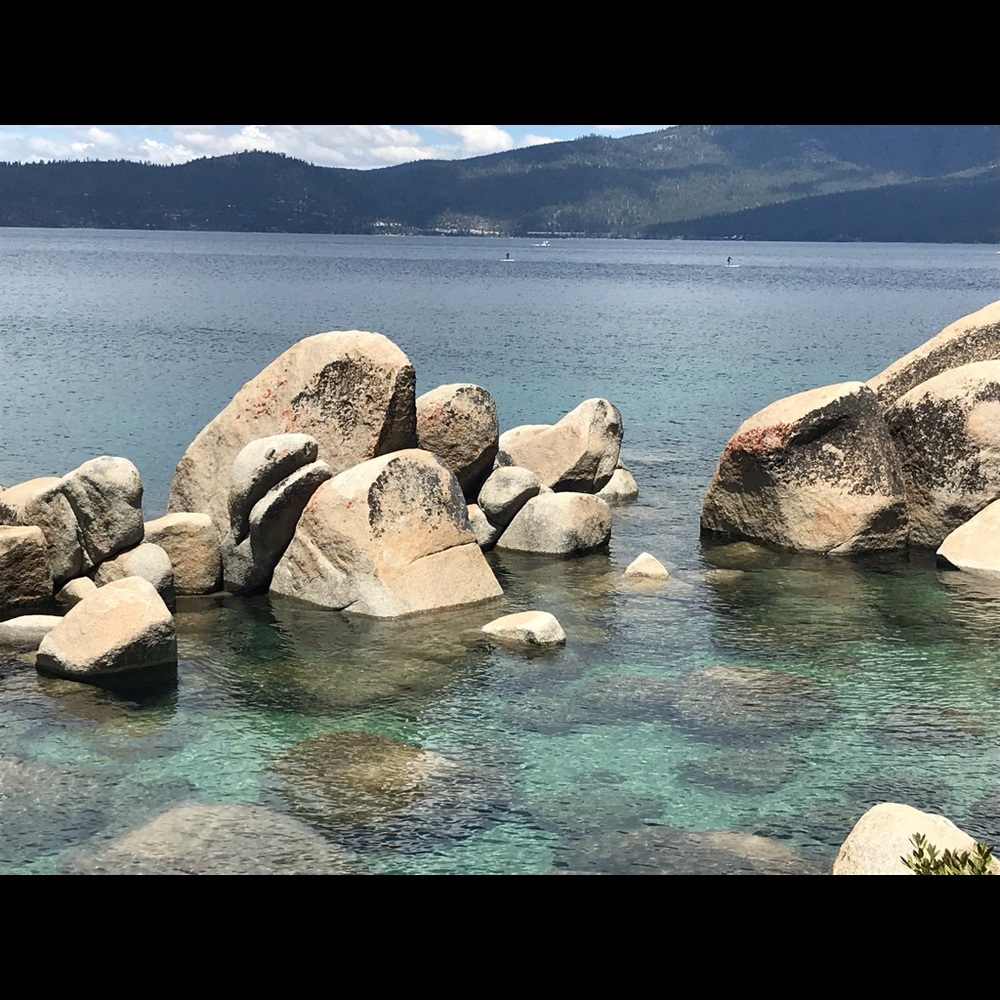 Meet your Posher, Eloisa thea